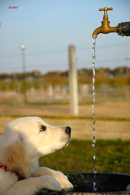 Maya, de Agripina y Javier, con 5 meses