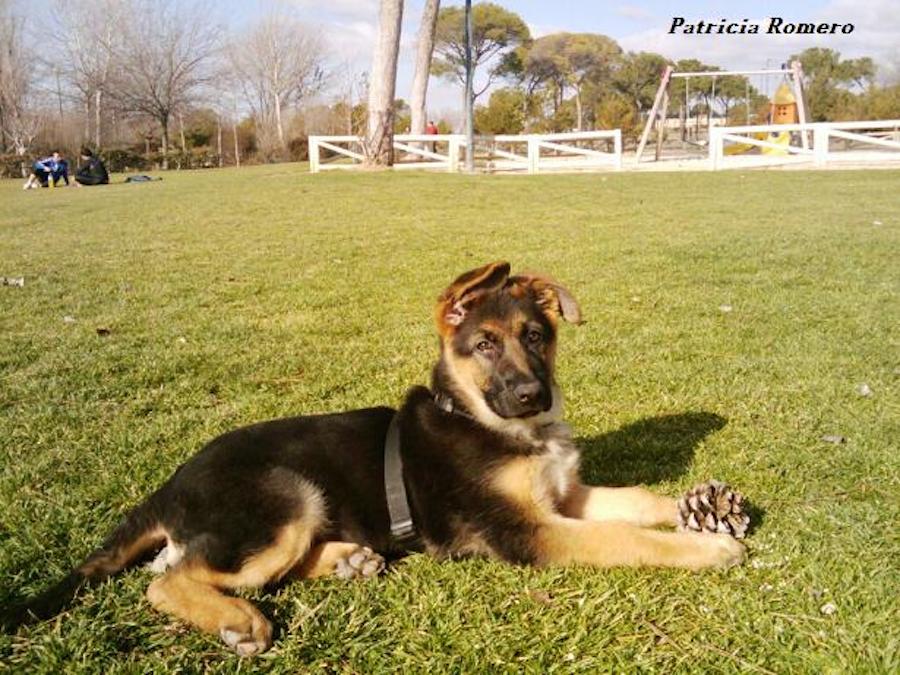 Triana con 3 meses, de Patricia, descansito tras el juego