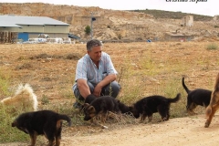 Daniel ayuda a sus cachorritos a ser exploradores