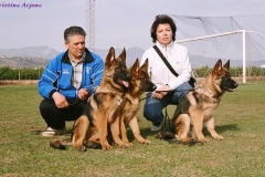 Los cachorros del afijo Lobo Moro, de Dani y Dolores, en un día de exposición