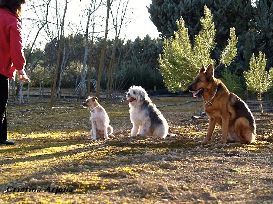 Esperando indicaciones