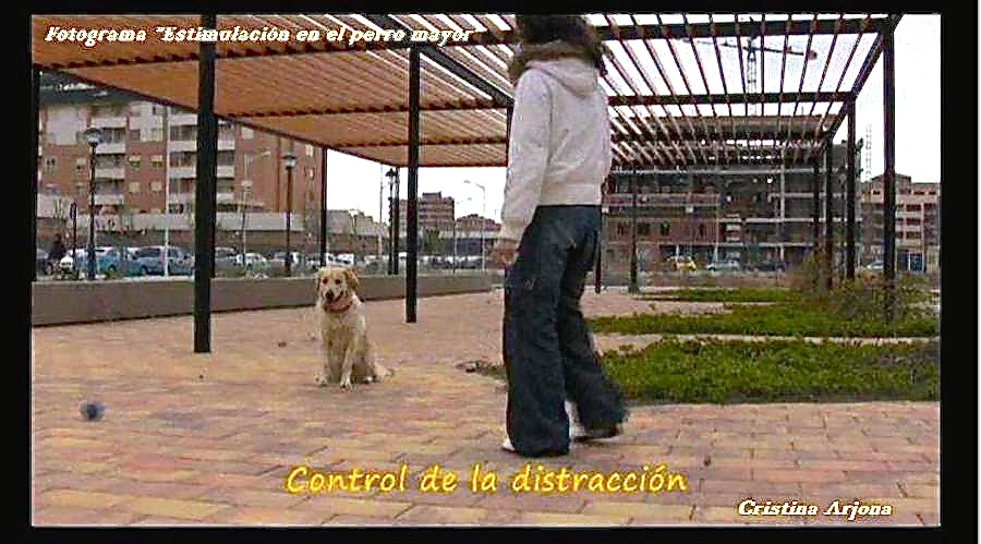 Confirmación del autocontrol con una pelota en movimiento