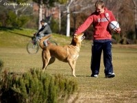 Entrenando la relajación