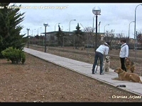 Trabajos colectivos para ajustar la obediencia_Rubio, de Beatriz; Cleo y Karín