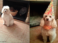 53 Rocky antes y despues de la fiesta