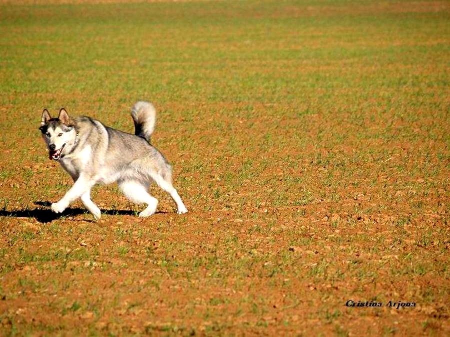 61 Profundidad del campo