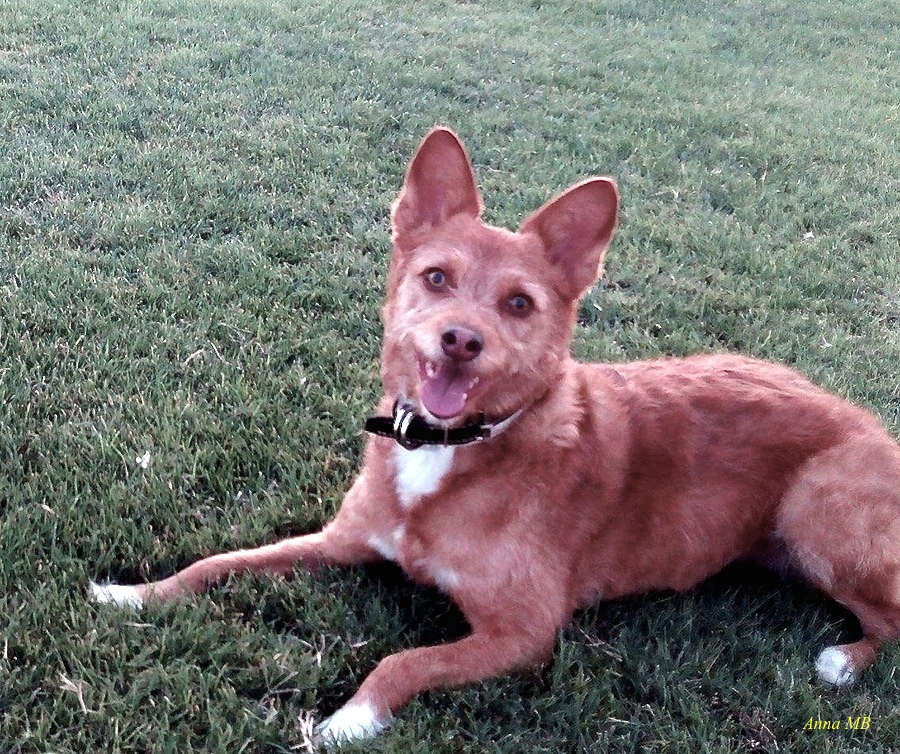 98 Nala cuando sonrie