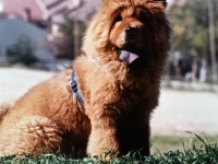 23 Recordando a Kima de Lola Munoz