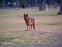 59 Mi loba Karín