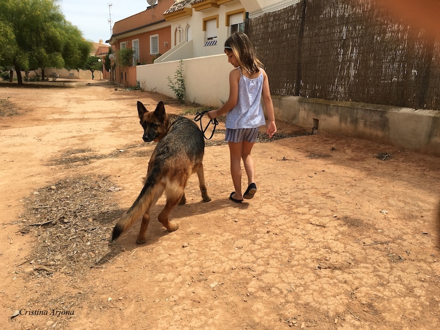 Martina aprende a pasear a Vega