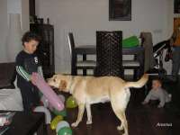 Uma con sus primitos humanos celebrando su primer cumple