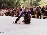 10 Concurso de Obediencia