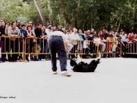 11 Participantes muestran las destrezas de sus animales